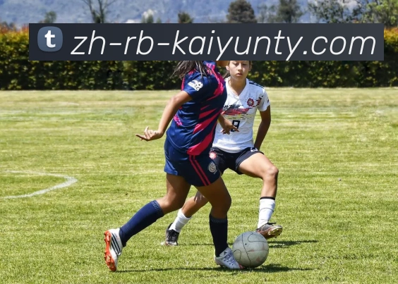 ky开云发展历程