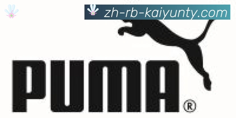 KY开云体育合作伙伴